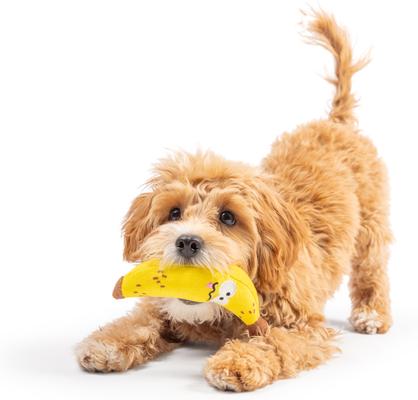 Show full view: Huxley & Kent Tiny Tuff Bruiser Banana Dog Toy, Yellow, Small slide 4 of 8