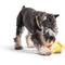 Show in main carousel: Huxley & Kent Tiny Tuff Mutterfinger Dog Toy, Yellow/Blue, One Size slide 5 of 6