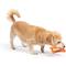Show in main carousel: Huxley & Kent Tiny Tuff Roscos Dog Toy, Orange, One Size slide 4 of 7