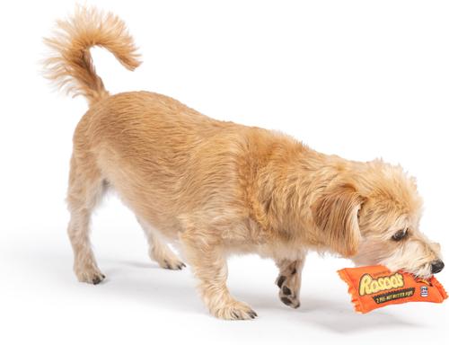 Show full view: Huxley & Kent Tiny Tuff Roscos Dog Toy, Orange, One Size slide 4 of 7