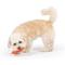 Show in main carousel: Huxley & Kent Tiny Tuff Roscos Dog Toy, Orange, One Size slide 5 of 7