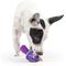 Show in main carousel: Huxley & Kent Tiny Tuff Mellow Mushroom Dog Toy, Purple, X-Small slide 7 of 7