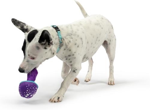 Show full view: Huxley & Kent Tiny Tuff Mellow Mushroom Dog Toy, Purple, X-Small slide 5 of 7