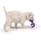 Show in main carousel: Huxley & Kent Tiny Tuff Mellow Mushroom Dog Toy, Purple, X-Small slide 4 of 7