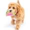 Show in main carousel: Huxley & Kent Tiny Tuff Walter Melon Dog Toy, Pink/Green, Small slide 6 of 7