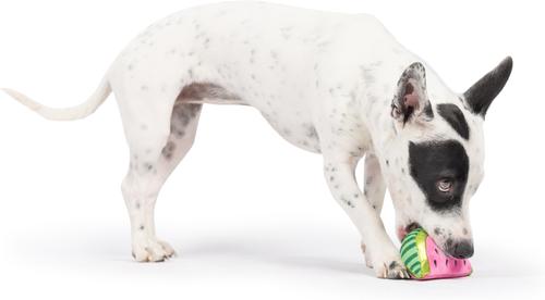 Show full view: Huxley & Kent Tiny Tuff Walter Melon Dog Toy, Pink/Green, Small slide 4 of 7