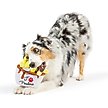 Show in main carousel: Huxley & Kent Power Plush Poutine Dog Toy, White/Yellow/Brown, Small slide 5 of 8