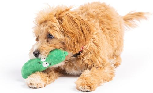 Show full view: Huxley & Kent Tiny Tuff Dell Pickle Dog Toy, Green, X-Small slide 7 of 8