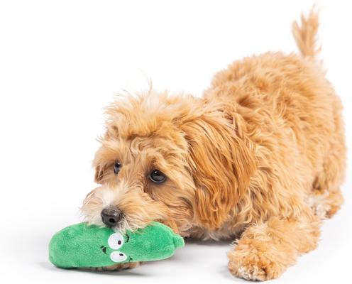 Show full view: Huxley & Kent Tiny Tuff Dell Pickle Dog Toy, Green, X-Small slide 8 of 8
