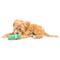 Show in main carousel: Huxley & Kent Tiny Tuff Dell Pickle Dog Toy, Green, X-Small slide 6 of 8
