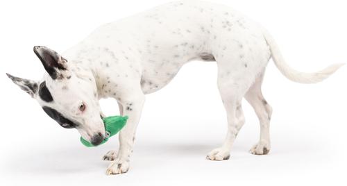 Show full view: Huxley & Kent Tiny Tuff Dell Pickle Dog Toy, Green, X-Small slide 5 of 8