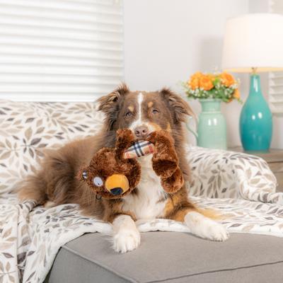 Show full view: Huxley & Kent Slappies Beary Styles Dog Toy, Brown/Tan, Large slide 8 of 8