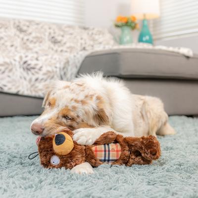 Show full view: Huxley & Kent Slappies Beary Styles Dog Toy, Brown/Tan, Large slide 6 of 8