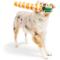 Show in main carousel: Huxley & Kent Fetchies Sweet Carrot Dog Toy, Orange/Green, Large slide 8 of 9
