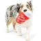 Show in main carousel: Huxley & Kent Power Plush Tim Snortons Coffee Dog Toy, Red, Large slide 5 of 7