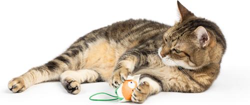 Show full view: Huxley & Kent Flinger Flower Cat Toy, Tan/White, Large slide 5 of 5