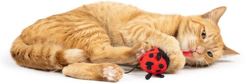 Show full view: Huxley & Kent Flinger Ladybug Cat Toy, Red/Black, One Size slide 6 of 6