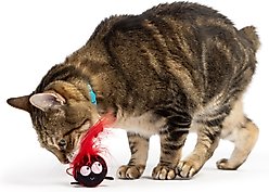 Huxley & Kent Flinger Ladybug Cat Toy, Red/Black, One Size