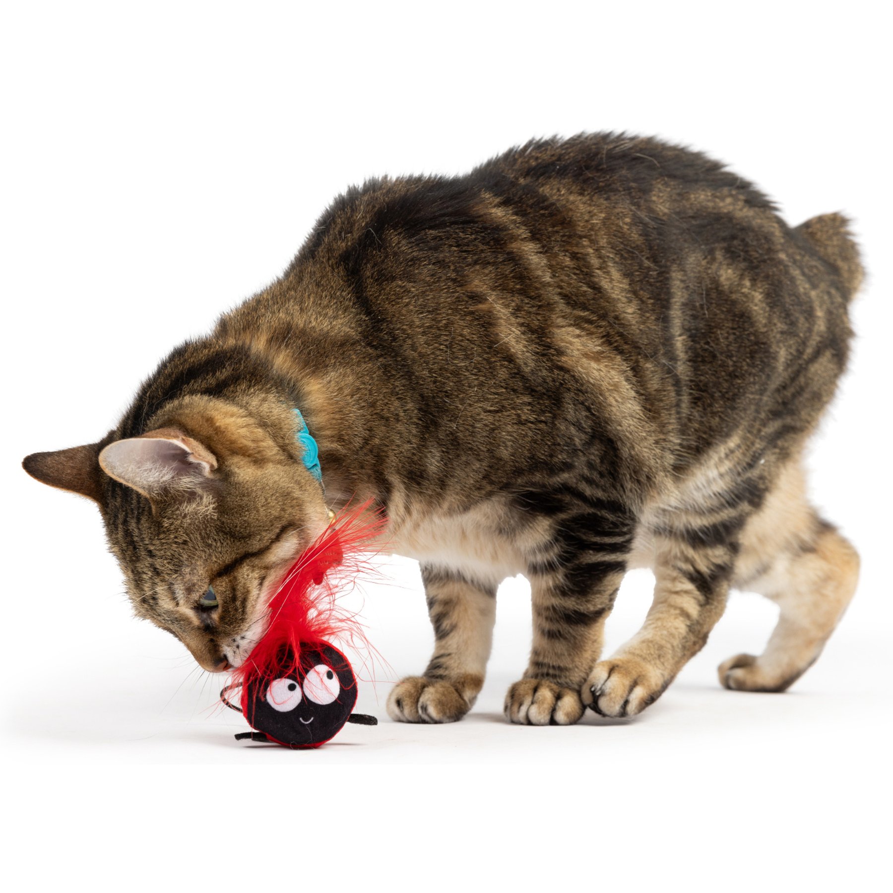 Huxley & Kent Flinger Ladybug Cat Toy, Red/Black, One Size