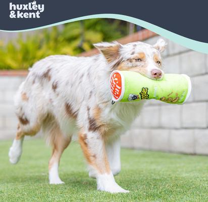 Show full view: Huxley & Kent Power Plush Puggles Can Dog Toy, Green, Large slide 9 of 9