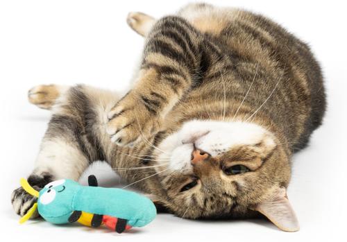 Show full view: Huxley & Kent Caterpillar Cat Toy, Teal Yellow/Red slide 4 of 5