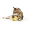 Show in main carousel: Huxley & Kent Flinger Bumble Bee Cat Toy, Yellow/Black, One Size slide 1 of 6