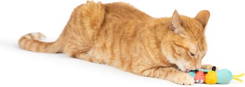 Show full view: Huxley & Kent Caterpillar Cat Toy, Teal Yellow/Red slide 5 of 5