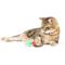 Show in main carousel: Huxley & Kent Chocolate Strawberry Cat Toy, Green/Red/Brown, One Size slide 6 of 9