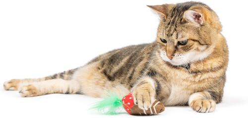 Show full view: Huxley & Kent Chocolate Strawberry Cat Toy, Green/Red/Brown, One Size slide 6 of 9