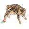Show in main carousel: Huxley & Kent Chocolate Strawberry Cat Toy, Green/Red/Brown, One Size slide 5 of 9