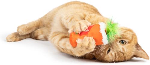 Show full view: Huxley & Kent Fluffy Mary Cat Toy, Red/Green slide 5 of 5