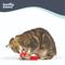 Show in main carousel: Huxley & Kent Lil' Pooper Cat Toy, Red, One Size slide 7 of 7
