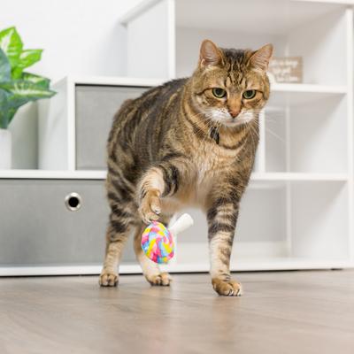 Show full view: Huxley & Kent I'M Sweet Lollipop Cat Toy, Blue/Pink, One Size slide 5 of 5