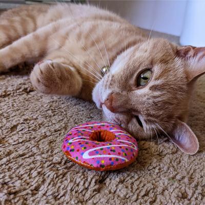 Show full view: Huxley & Kent Strawberry Donut Cat Toy, Pink, One Size slide 5 of 6