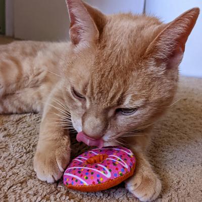 Show full view: Huxley & Kent Strawberry Donut Cat Toy, Pink, One Size slide 6 of 6