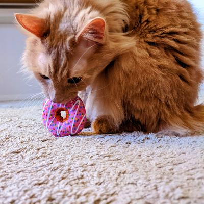 Show full view: Huxley & Kent Strawberry Donut Cat Toy, Pink, One Size slide 4 of 6