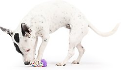 Huxley & Kent Tiny Tuff Polka Dot Party Hat Dog Toy, Purple/White/Multi, One Size slide 2 of 5