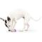 Show in main carousel: Huxley & Kent Tiny Tuff Polka Dot Party Hat Dog Toy, Purple/White/Multi, One Size slide 6 of 6