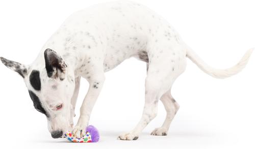 Show full view: Huxley & Kent Tiny Tuff Polka Dot Party Hat Dog Toy, Purple/White/Multi, One Size slide 6 of 6