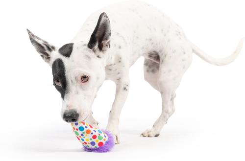 Show full view: Huxley & Kent Tiny Tuff Polka Dot Party Hat Dog Toy, Purple/White/Multi, One Size slide 5 of 6