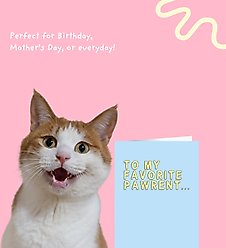 Sweet Paws x Five Dot Post To My Favorite Pawrent Greeting Card for Dog & Cat Parents slide 2 of 9