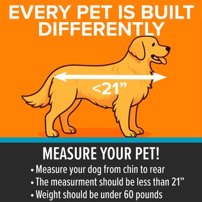 Show full view: K&H Pet Products Buckle n' Go Dog & Cat Car Seat, Gray, Large slide 4 of 12