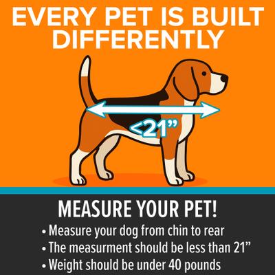 Show full view: K&H Pet Products Buckle n' Go Dog & Cat Car Seat, Gray, Small slide 6 of 13