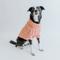 Show in main carousel: Sassy Woof Cable Knit Dog Sweater, Pink, Small slide 8 of 9