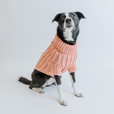 Show full view: Sassy Woof Cable Knit Dog Sweater, Pink, Small slide 8 of 9