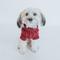 Show in main carousel: Sassy Woof Cable Knit Dog Sweater, Red, XX-Large slide 6 of 9