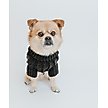 Show in main carousel: Sassy Woof Cable Knit Dog Sweater, Black, XX-Large slide 7 of 8