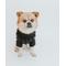 Show in main carousel: Sassy Woof Cable Knit Dog Sweater, Black, XX-Large slide 7 of 9