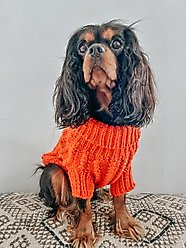 Sassy Woof Cable Knit Dog Sweater, Orange, X-Large slide 2 of 8