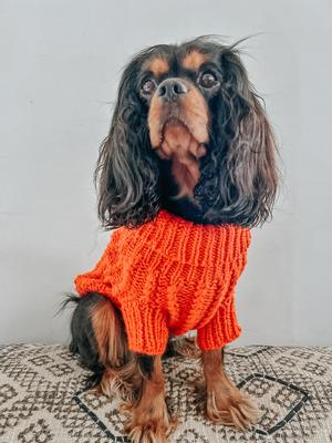 Show full view: Sassy Woof Cable Knit Dog Sweater, Orange, X-Large slide 7 of 9